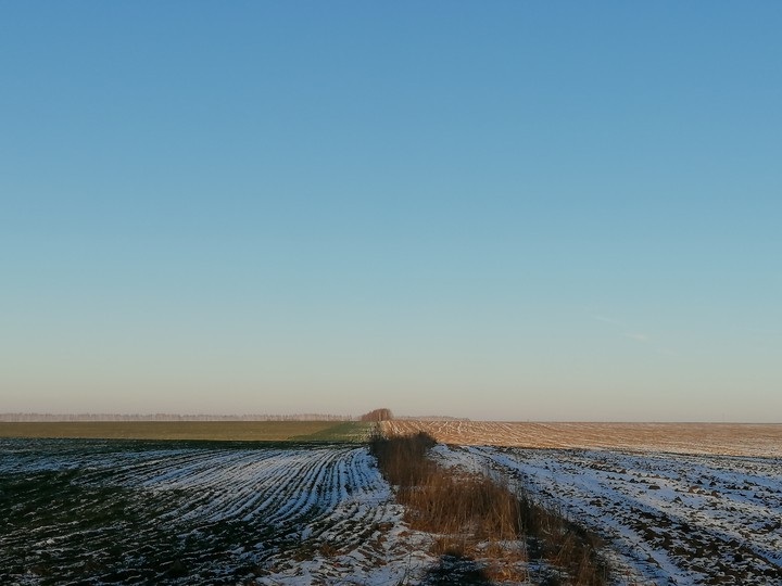 field