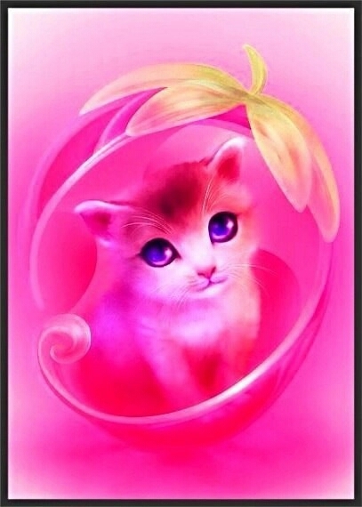 vertebrate, pink वॉलपेपर