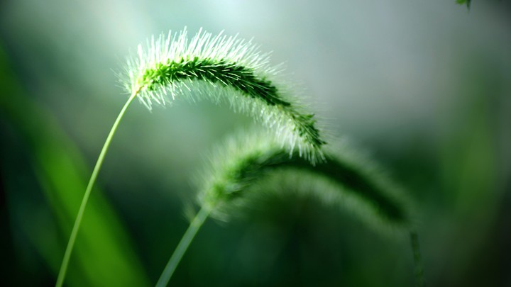 natural