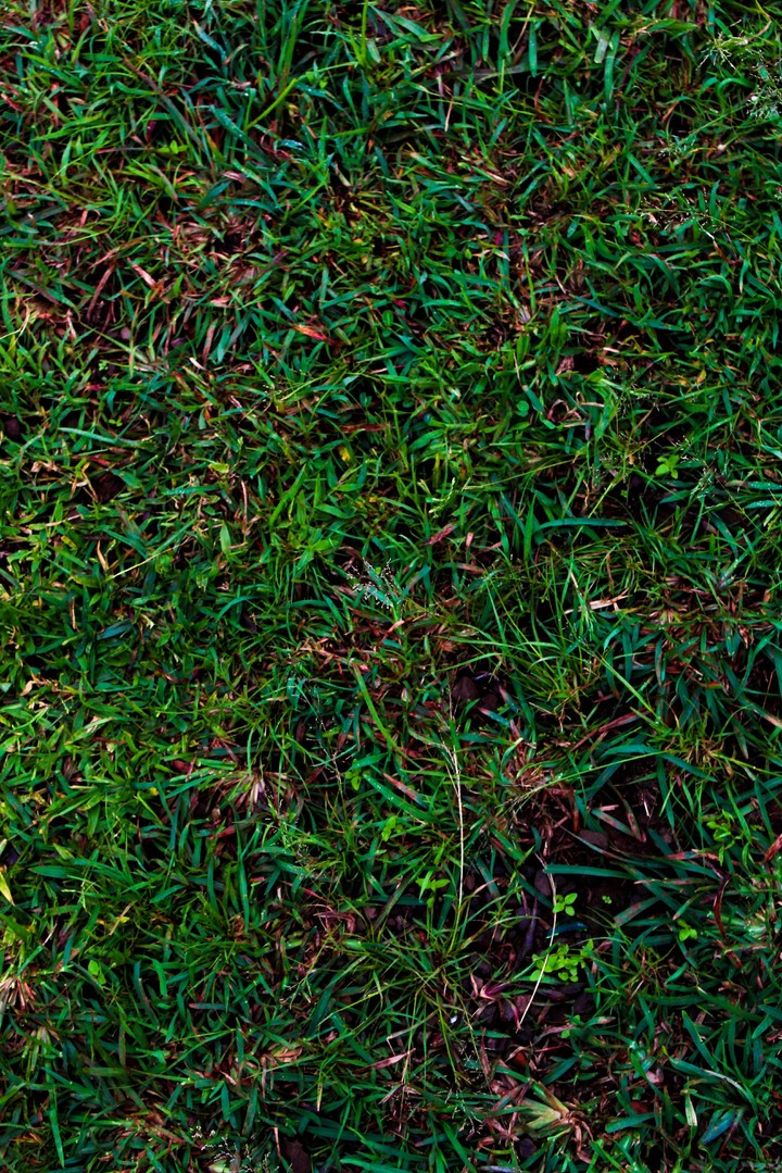 greenery