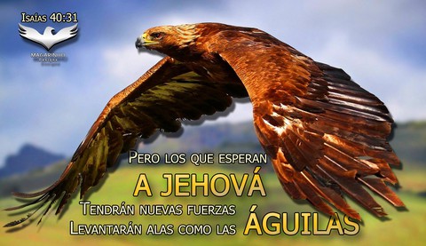 Isaías 40:31 Confía en Dios y espera en El!!