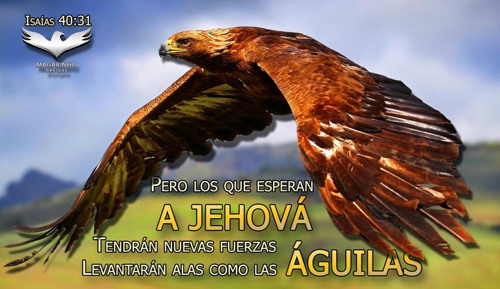 Isaías 40:31 Confía en Dios y espera en El!!