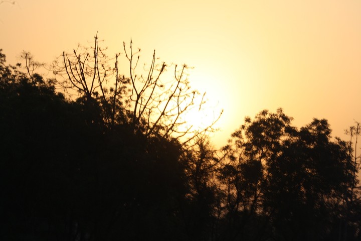 natural