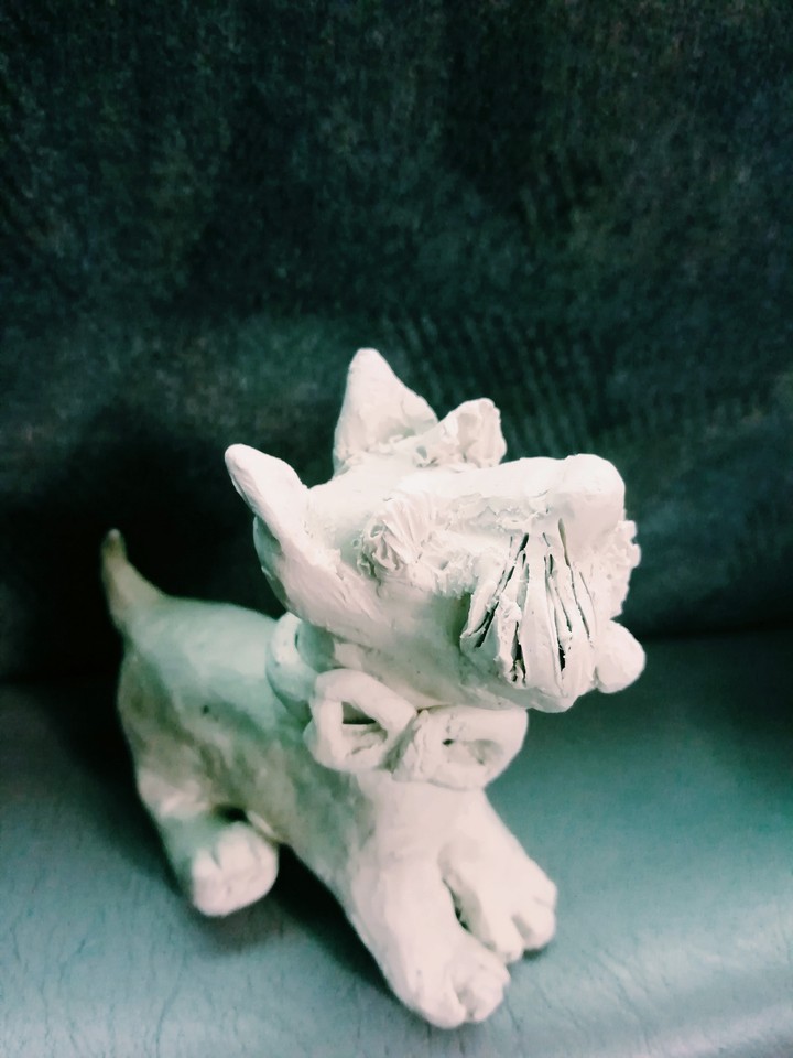My dog