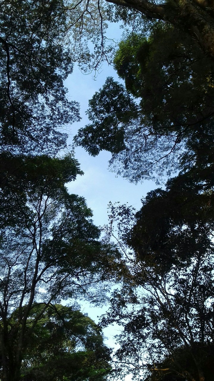 céu é o limite