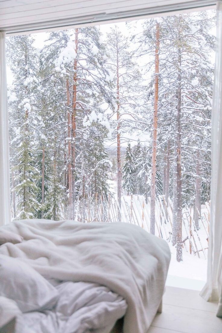 Winter Morning