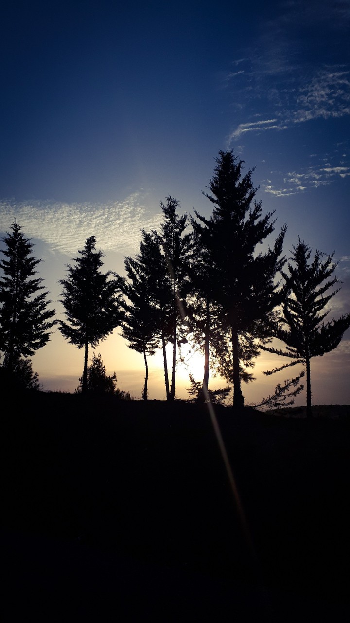 sunrise