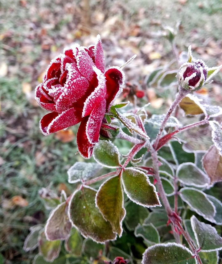 winter