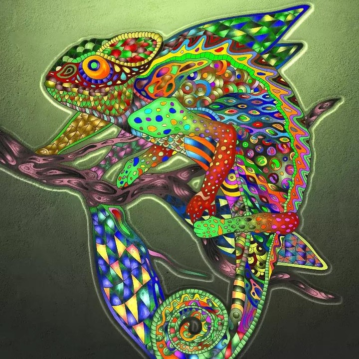 active chameleon