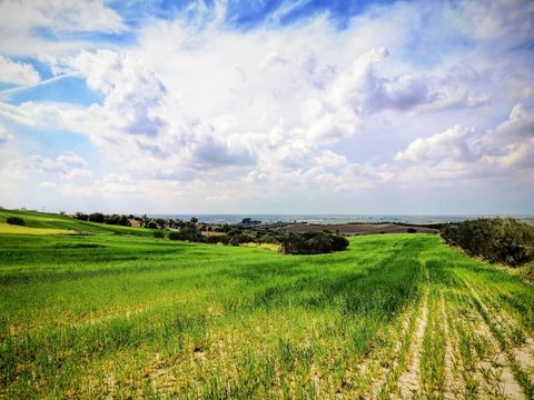nature