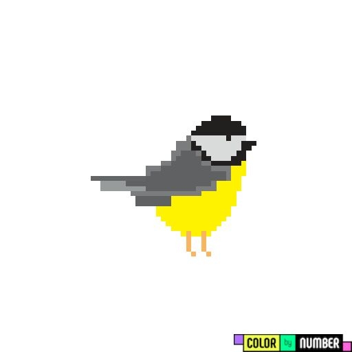 birds