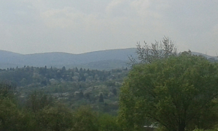 view