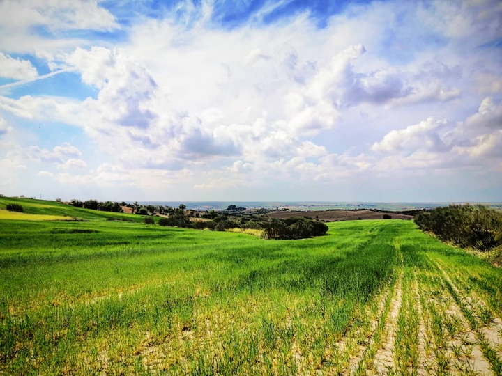 nature