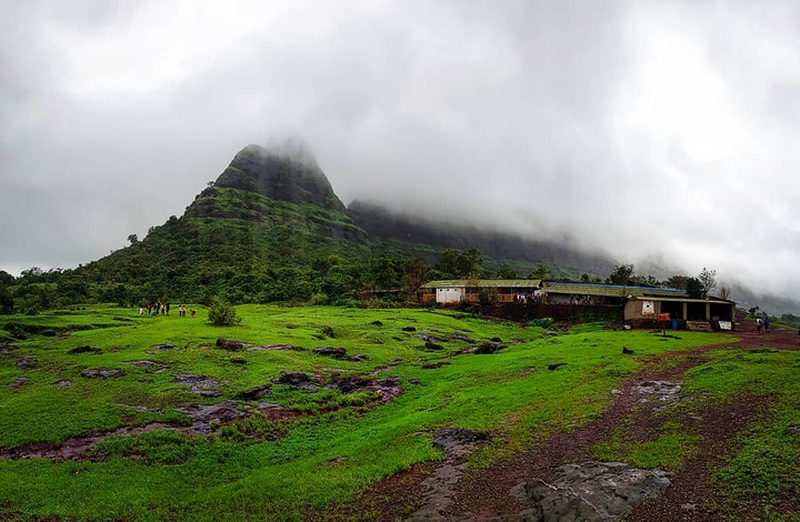 Green Hill Nature
