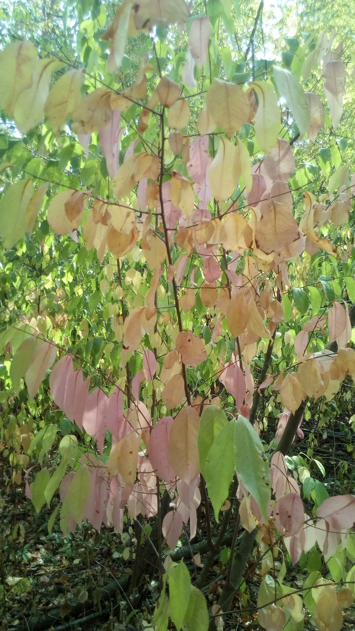 Красота Природы