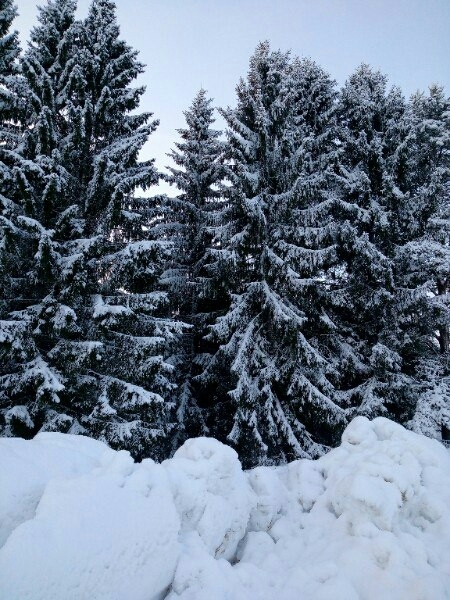 winter