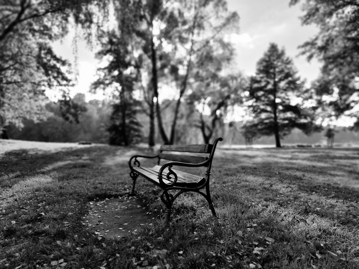 Bench in the park