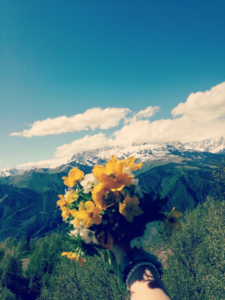 flowers and mountains