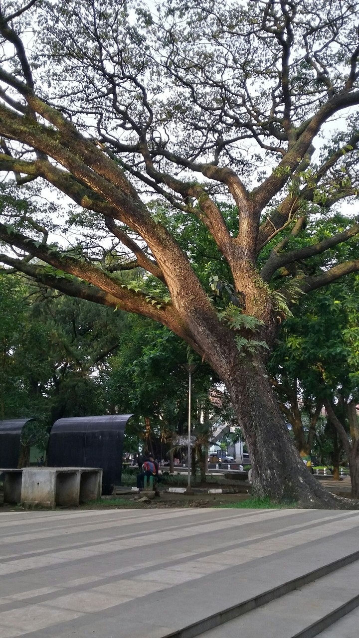 Taman Bale Kota