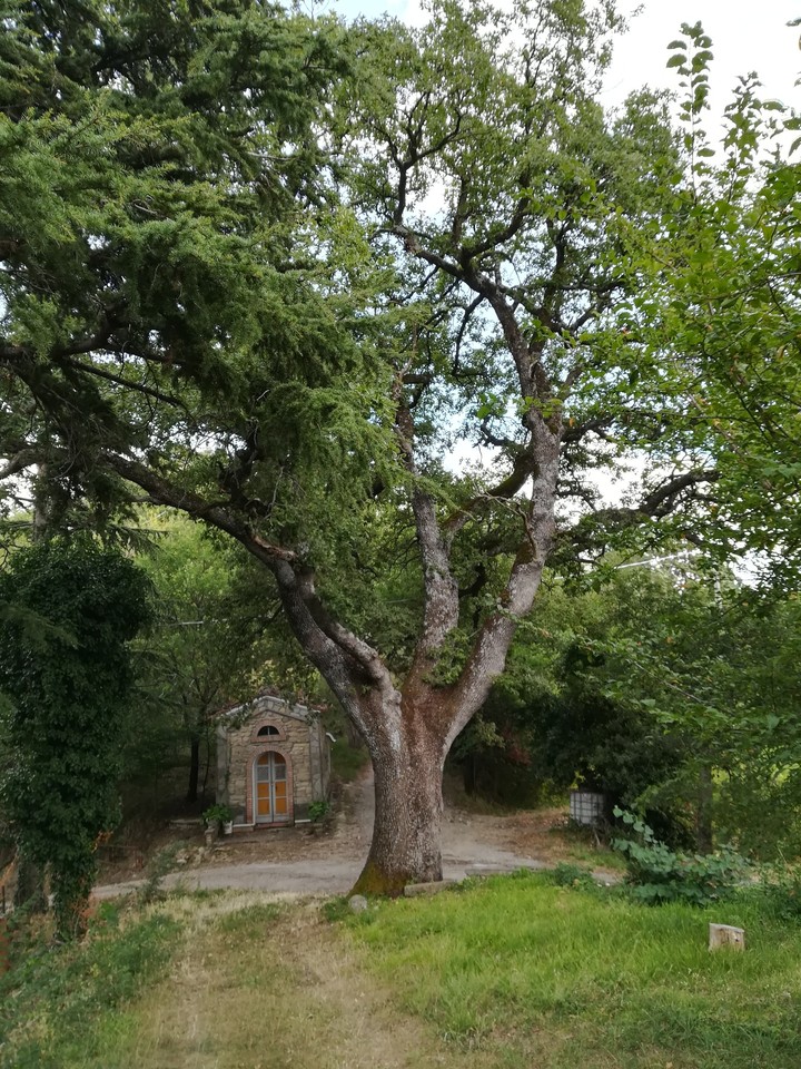 la quercia e la forgia