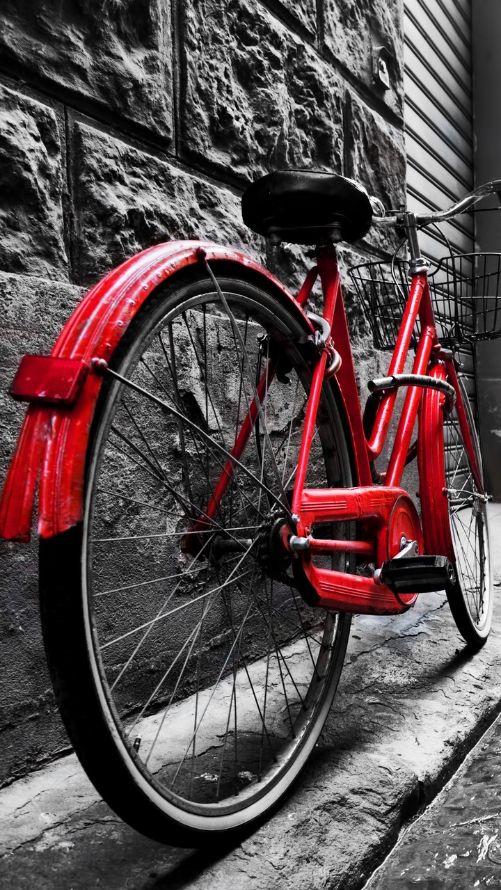 rojo