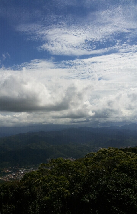 Nature