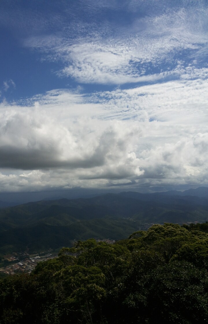 Nature