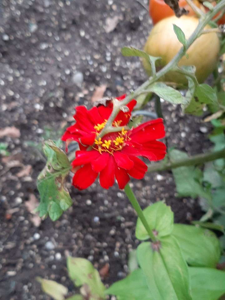 merveille du monde