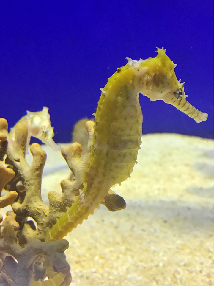 under water