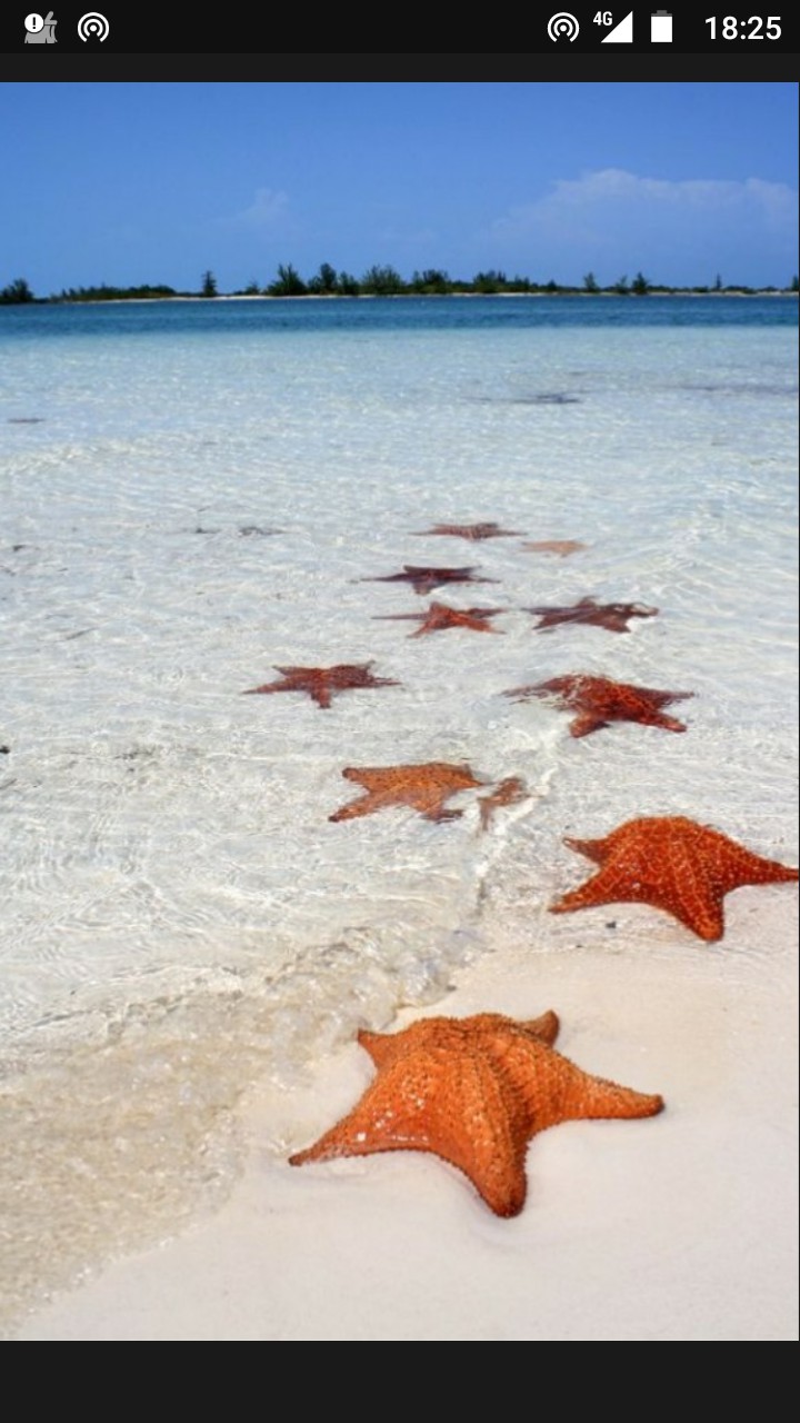 mar