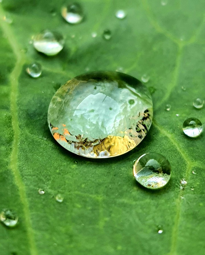 Macro drop