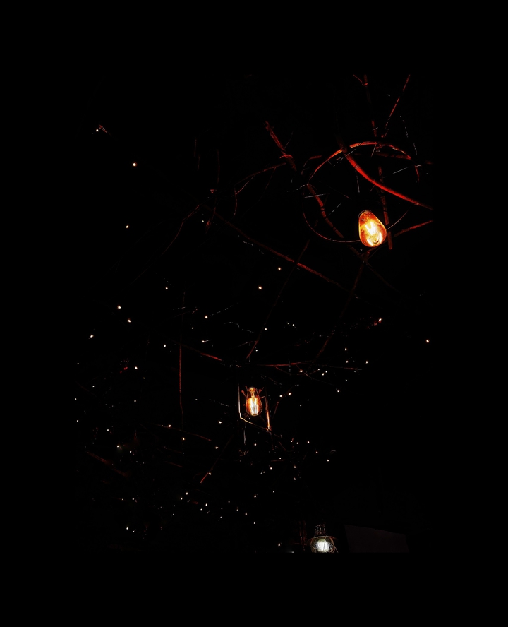 night
