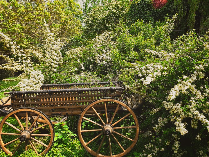 Spring