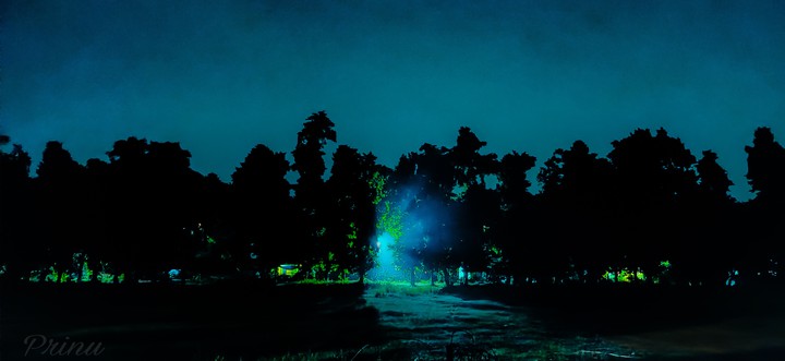 Night View