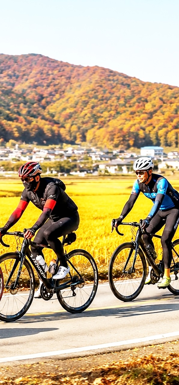 tapety bycycle, cycling