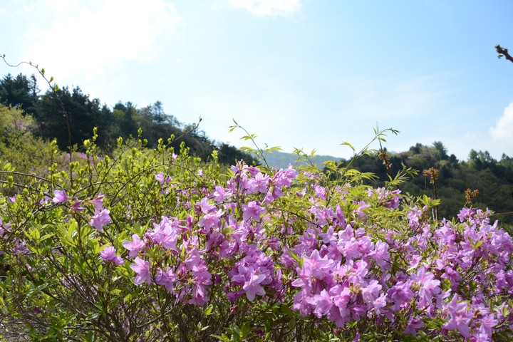 지리산이미지
