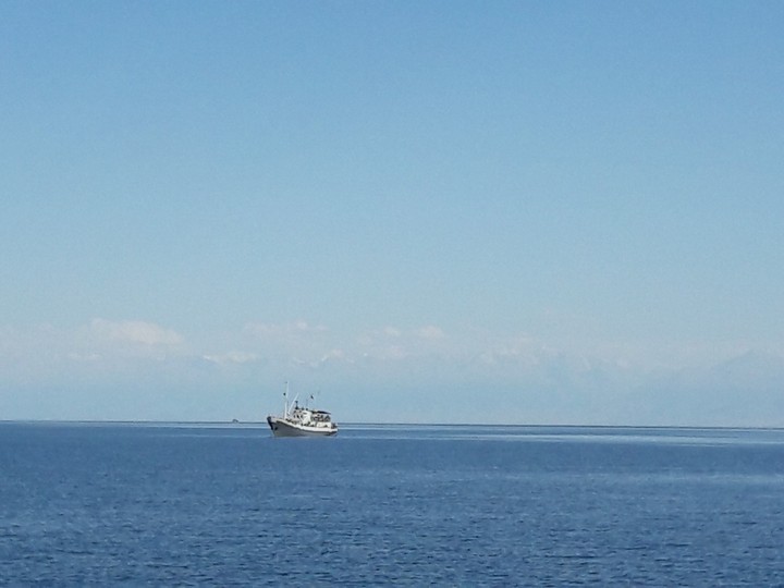 sea again