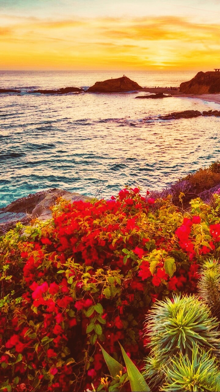 #nature