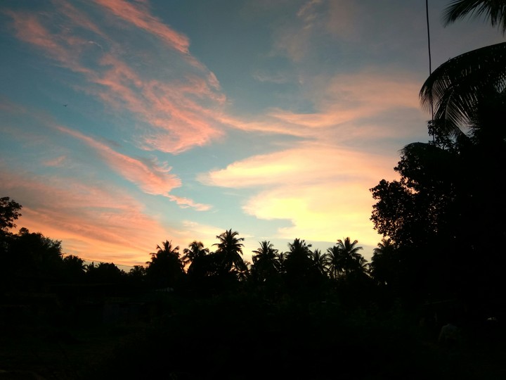 coconut sky...