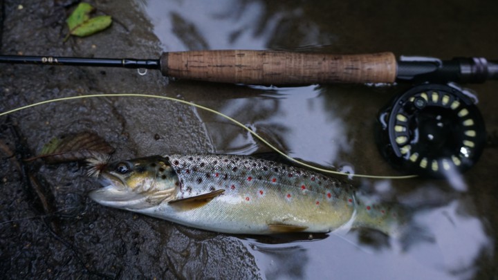 fly fishing