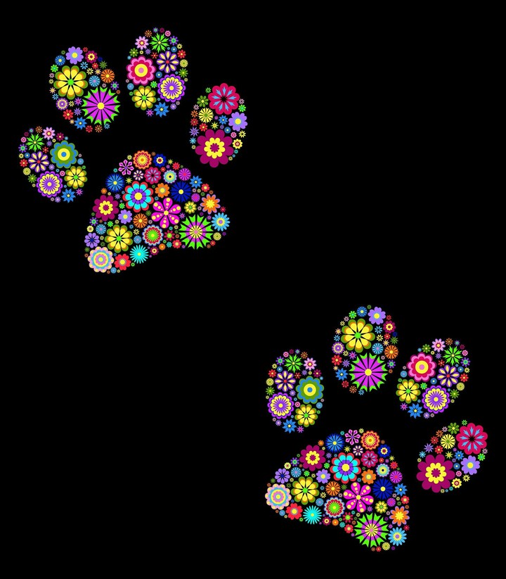 Patitas