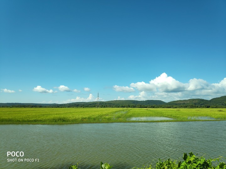 Nature beauty..