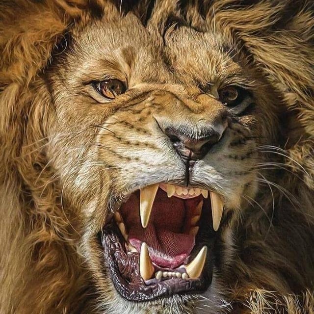 Real king