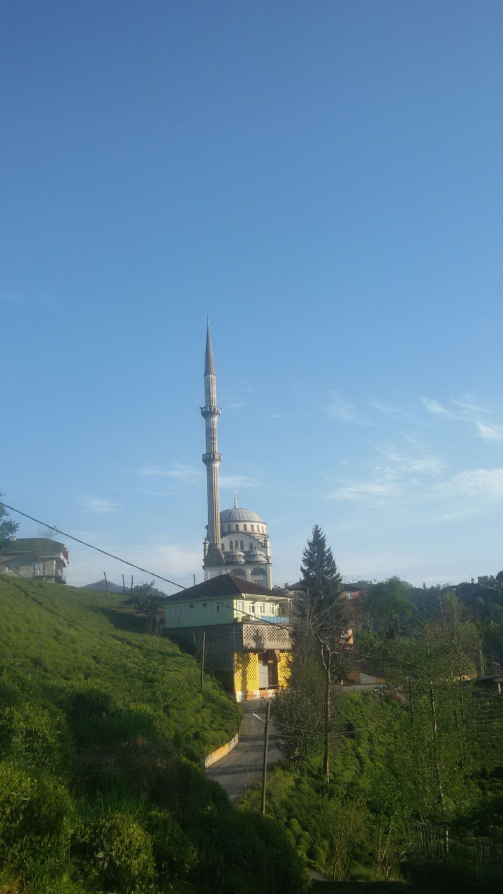 تركيا