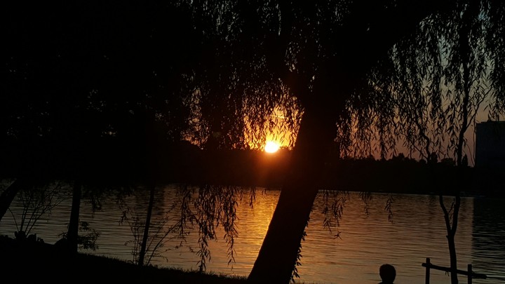 Sunset #3