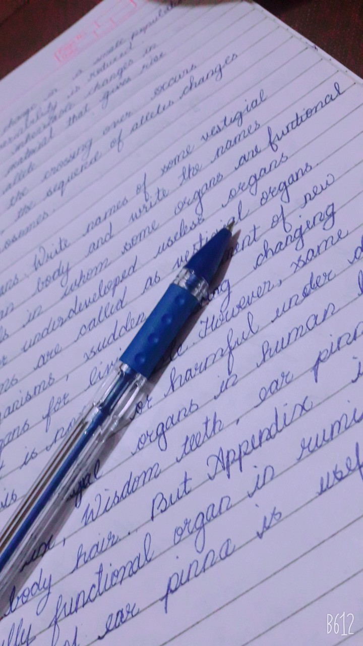 Pen