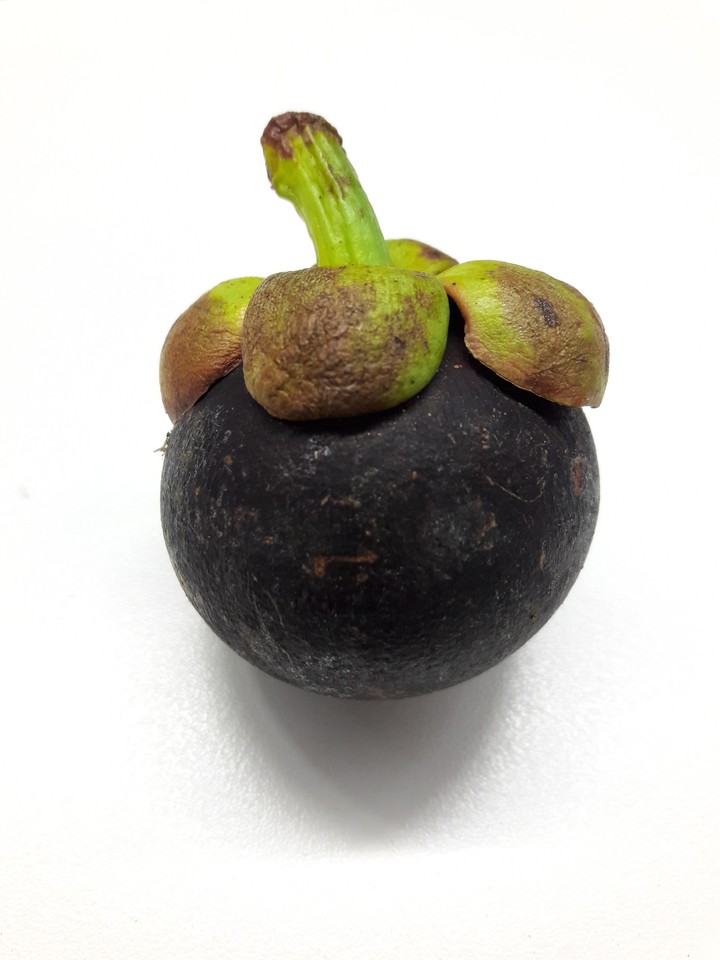 mangosteen