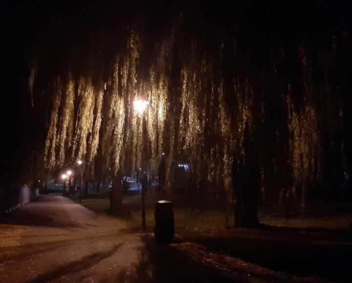 noc night