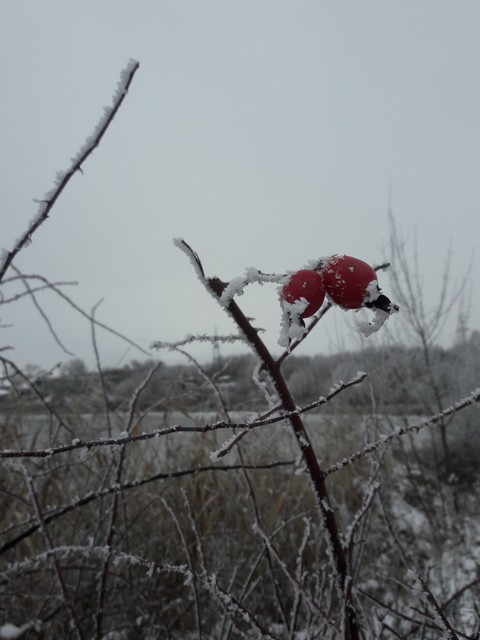 Russian snow