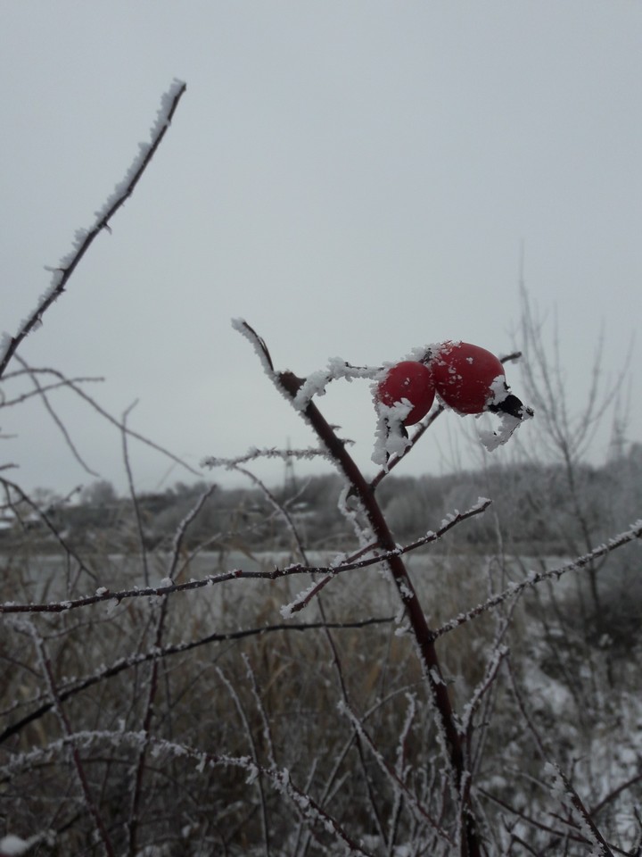 Russian snow